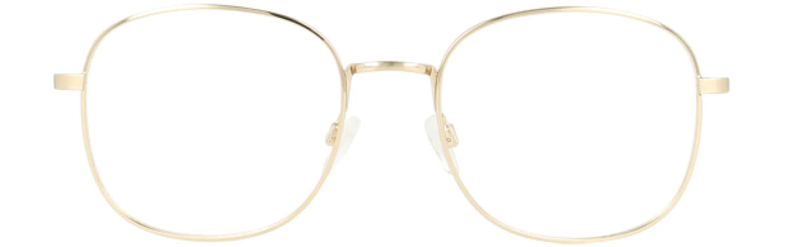 Randy Jackson RJ1113 Eyeglasses - Gold - view 3